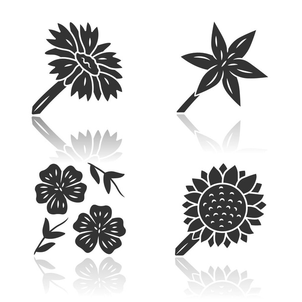 Wild flowers drop shadow black glyph icons set. Common star lily, blue flax, helianthus, blanket flower. Calflora. Blooming wildflowers. Field, meadow herbaceous plants. Isolated vector illustrations - Vector, Image
