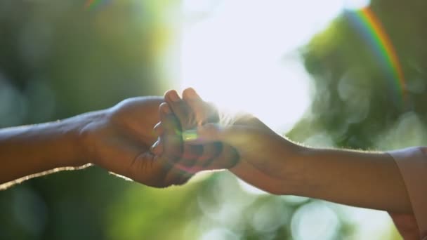 Νεαρό ζευγάρι στην αγάπη κρατώντας τα χέρια ενάντια στο ιστορικό του πάρκου, εμπιστοσύνη στις σχέσεις - Πλάνα, βίντεο