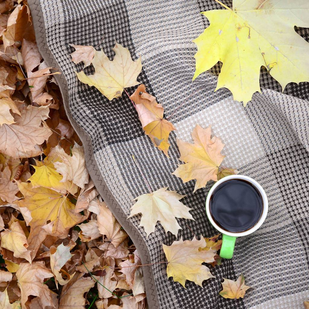 Feuilles d'automne et tasse de café chaud et fumant se trouve sur carreaux à carreaux à l'extérieur
 - Photo, image