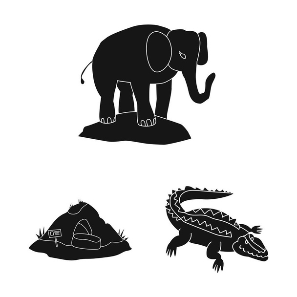 Vector illustration of fauna and entertainment symbol. Set of fauna and park stock vector illustration. - Vettoriali, immagini