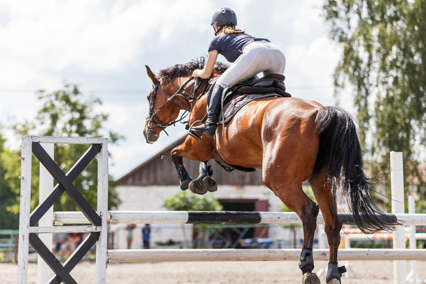 Horse rider woman on show jumping competition - 写真・画像