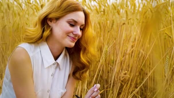Romantic girl with red hair sitting in wheat field - Felvétel, videó