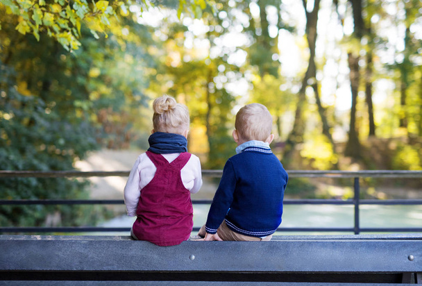 Rear view of twin toddler sibling boy and girl sitting in autumn forest. - Foto, immagini