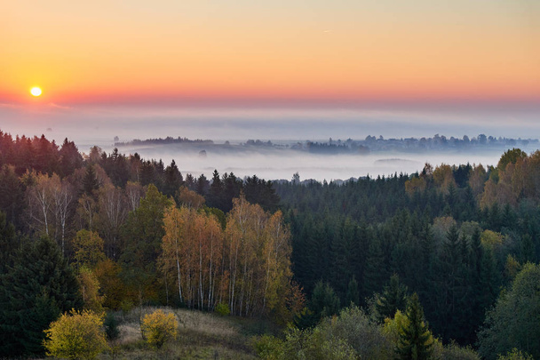 Terreno mattutino con raggi solari. Bellissimo paesaggio con foresta e nebbia.
. - Foto, immagini
