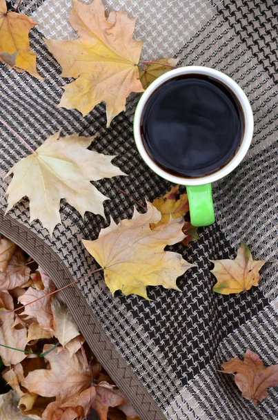 Autumn leaves and hot steaming cup of coffee lies on checkered plaid outdoors - Фото, зображення