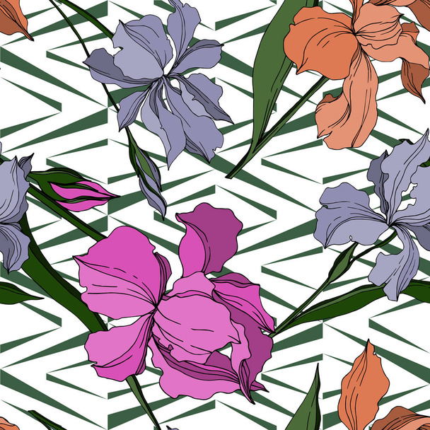 Vector Iris floral botanical flowers. Black and white engraved ink art. Seamless background pattern. - Διάνυσμα, εικόνα