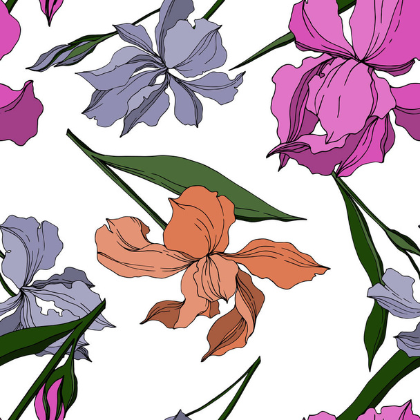 Vector Iris floral botanical flowers. Black and white engraved ink art. Seamless background pattern. - Vector, imagen