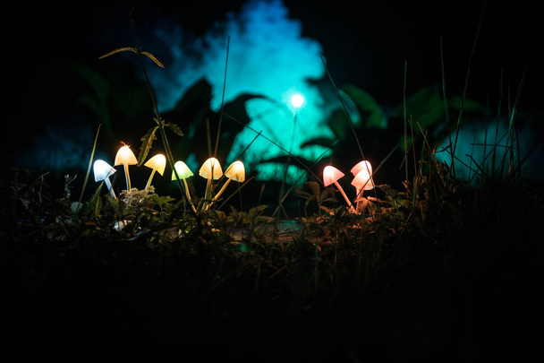 Fantasy glowing mushrooms in mystery dark forest close-up. Beautiful macro shot of magic mushroom or three souls lost in avatar forest. Fairy lights on background with fog - Photo, Image