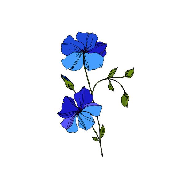 Fiori botanici floreali in lino vettoriale. Inchiostro inciso blu e verde art. Elemento di illustrazione del lino isolato
. - Vettoriali, immagini
