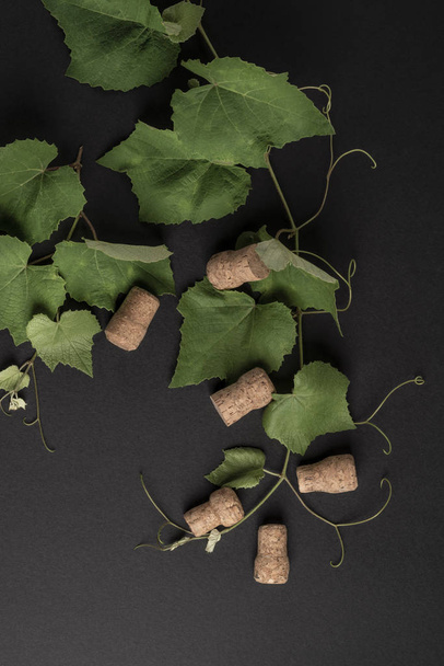 fundo com folhas de uva e rolhas de garrafa de vinho em madeira
 - Foto, Imagem