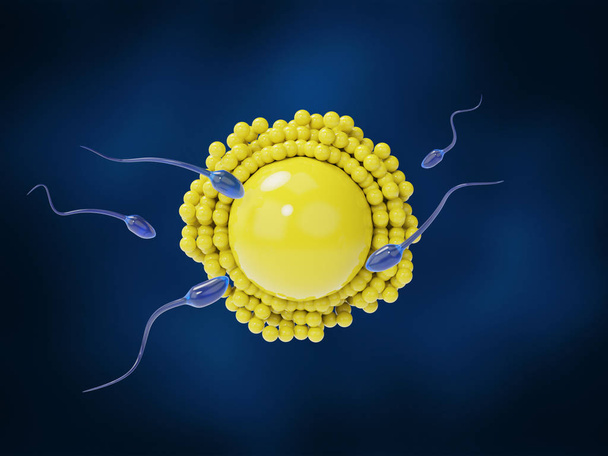 Esperma acercándose al huevo sobre un fondo azul oscuro
 - Foto, Imagen