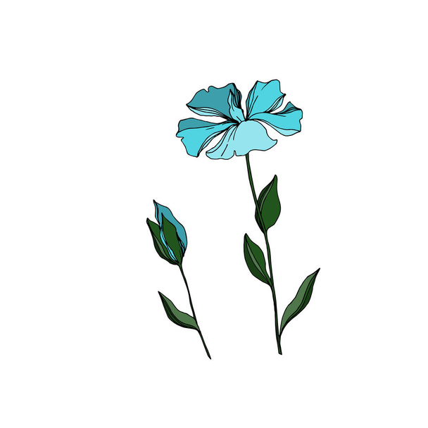 Vector Flax floral botanical flowers. Black and white engraved ink art. Isolated flax illustration element. - Vektori, kuva