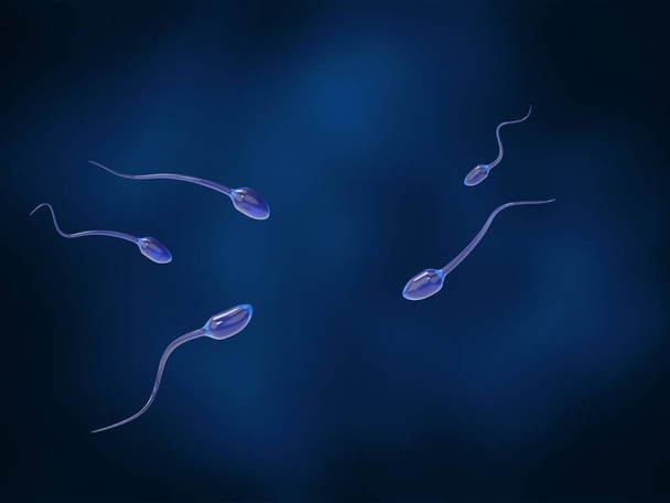 Sperma nähert sich der Eizelle auf dunkelblauem Hintergrund - Foto, Bild
