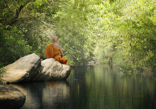 Boeddha monnik beoefent meditatie in het bos - Foto, afbeelding