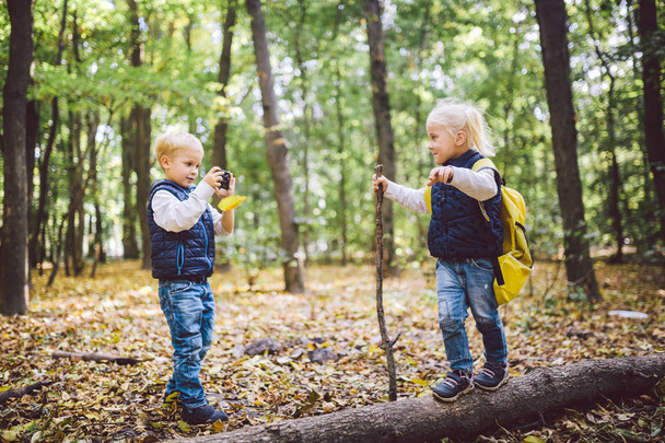 Children preschoolers Caucasian brother and sister take pictures of each other on mobile phone camera in forest park autumn. theme of hobby and active lifestyle for child. Profession photographer - Foto, Bild
