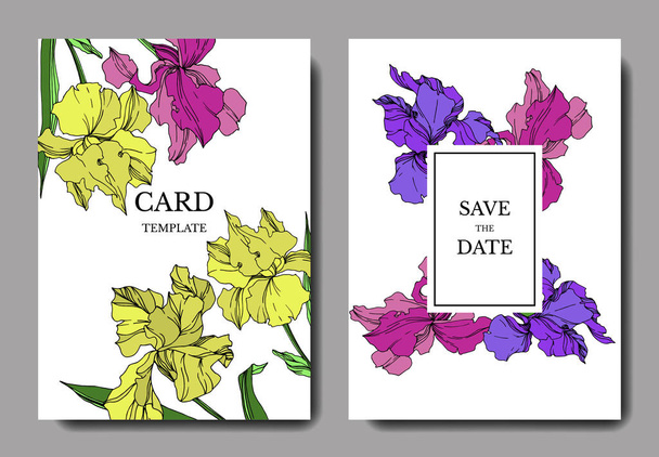 Vector Iris flores botánicas florales. Tinta grabada en blanco y negro. Boda tarjeta de fondo borde decorativo
. - Vector, Imagen