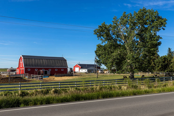 Farma a zemědělství v Albertě Kanada - Fotografie, Obrázek