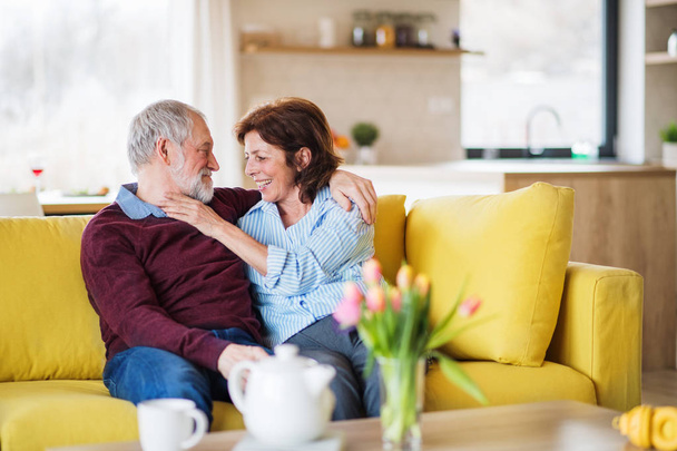 An affectionate senior couple in love sitting on sofa indoors at home. - 写真・画像