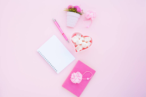 Flat lay girly, pale pink items for planning, notepads, pens, office work or working at home on her laptop, on the pale blue background, with place for labels. Concept Desk. - Foto, afbeelding