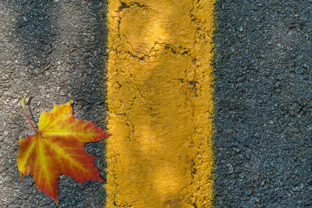Sarı bölme şeritli asfalt doku. Üstte görüntü - Fotoğraf, Görsel