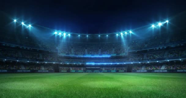 ファンでいっぱいのスタジアムで試合前に照らされた空の草の遊び場、スポーツ4kプロの背景アニメーションループ - 映像、動画