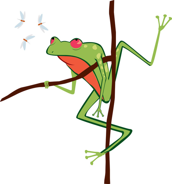 Toad and flies - Vector, Image