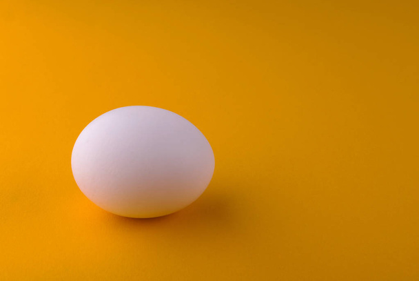 Huevo de pollo blanco sobre fondo naranja
 - Foto, imagen