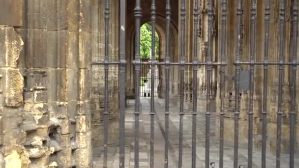 Metal fence in the Cathedral - Video, Çekim