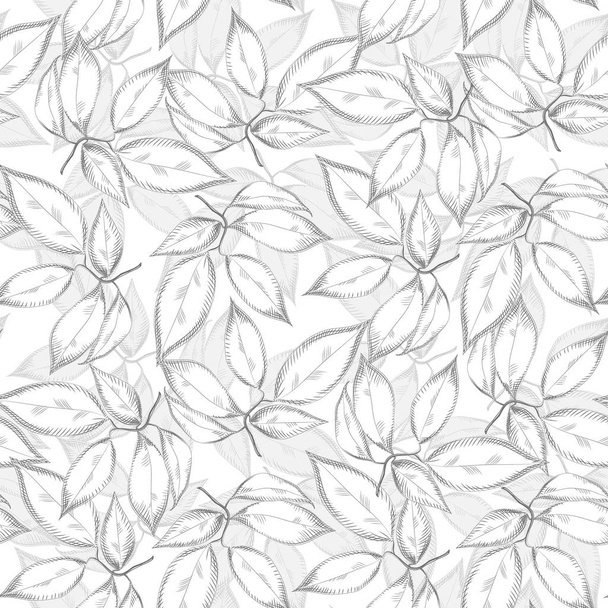 Leaves seamless pattern on white background. Engraving vintage style. - Vector, imagen