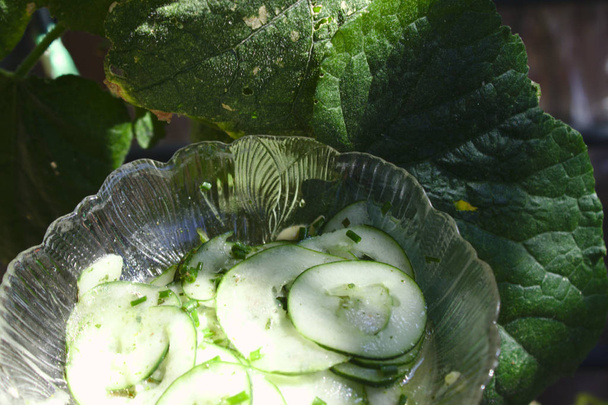 cucumber salad and a cucumber leaf - Zdjęcie, obraz