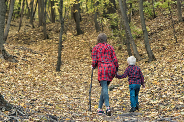 Η μαμά και ο μικρός γιος περπατούν στο δάσος του φθινοπώρου. Πίσω όψη - Φωτογραφία, εικόνα