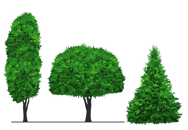 green tree - Vector, Image
