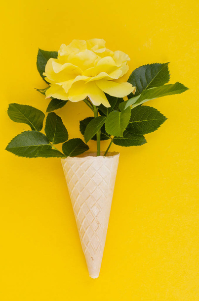 Yellow rose in cone on bright background. - Fotoğraf, Görsel