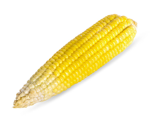 Yksikorva maissia eristetty valkoisella pohjalla - Valokuva, kuva