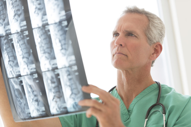 Surgeon Examining X-Ray Report - Zdjęcie, obraz