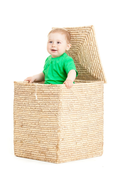 little boy inside a box on a white background - Φωτογραφία, εικόνα