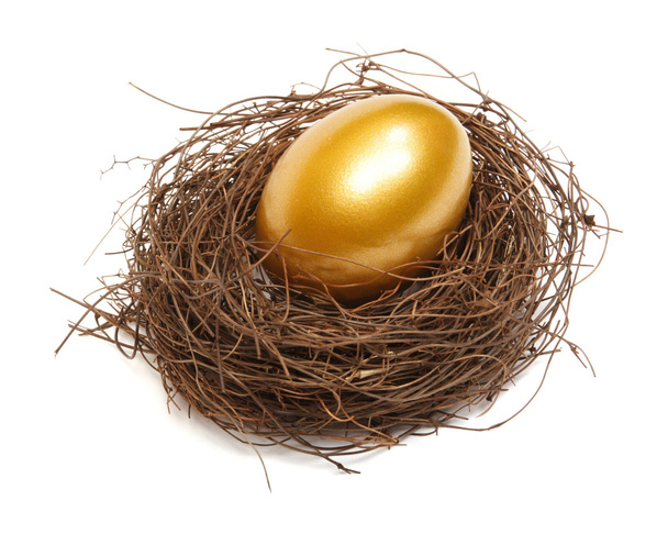 Gold egg - Photo, Image
