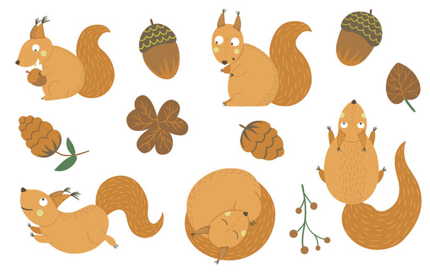 Vector set of cartoon style hand drawn flat funny squirrels in d - Vector, Image