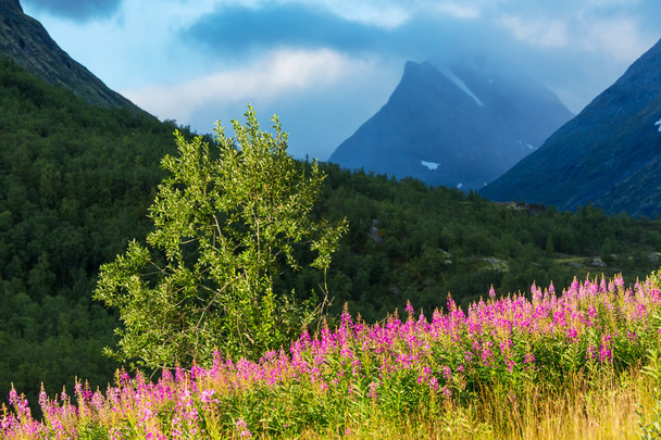 montañas en Noruega
 - Foto, imagen