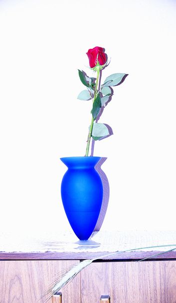赤いバラと青い花瓶 - 写真・画像