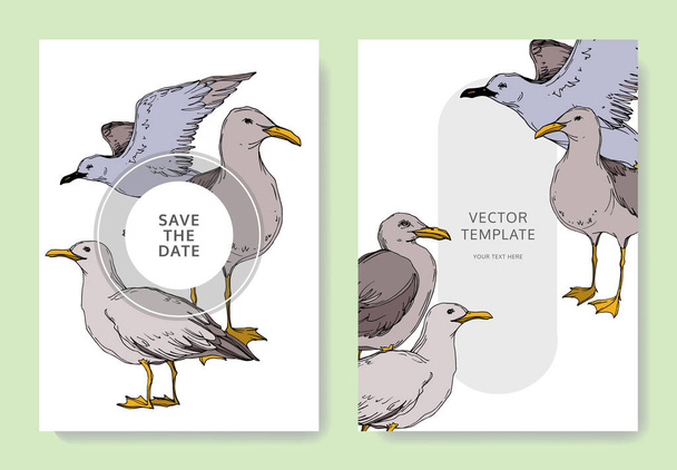 Vektor Sky madár sirály a vadon élő állatok. Fekete-fehér vésett tinta Art. Esküvői háttér-kártya dekoratív határon. - Vektor, kép