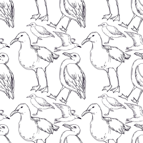 Vector Sky bird seagull in a wildlife isolated. Black and white engraved ink art. Seamless background pattern. - Vektor, Bild