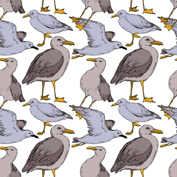 Vector Sky bird seagull in a wildlife isolated. Black and white engraved ink art. Seamless background pattern. - Вектор,изображение