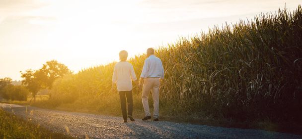 Senior vrouw en man het hebben van een wandeling langs een veld - Foto, afbeelding