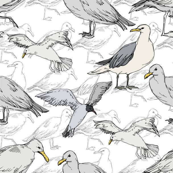 Sky bird seagull in a wildlife. Black and white engraved ink art. Seamless background pattern. - Vecteur, image