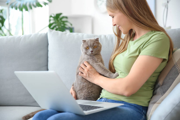 Beautiful woman with cute cat and laptop sitting on sofa at home - Fotoğraf, Görsel