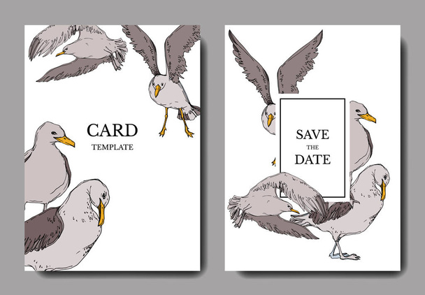 Vector Sky bird seagull in a wildlife. Black and white engraved ink art. Wedding background card decorative border. - Vektor, Bild