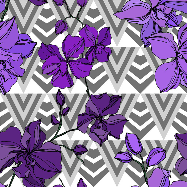 Vector orchidee bloemen botanische bloemen. Zwart en paars gegraveerd Ink Art. Naadloos achtergrond patroon. - Vector, afbeelding