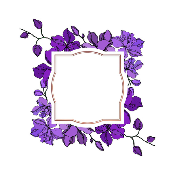 Vector Orchid flores botánicas florales. Tinta grabada negra y púrpura. Marco borde ornamento cuadrado
. - Vector, Imagen