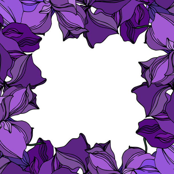 ベクトル蘭の花の植物の花。黒と紫の彫刻インクアート。フレームボーダーオーナメント正方形. - ベクター画像
